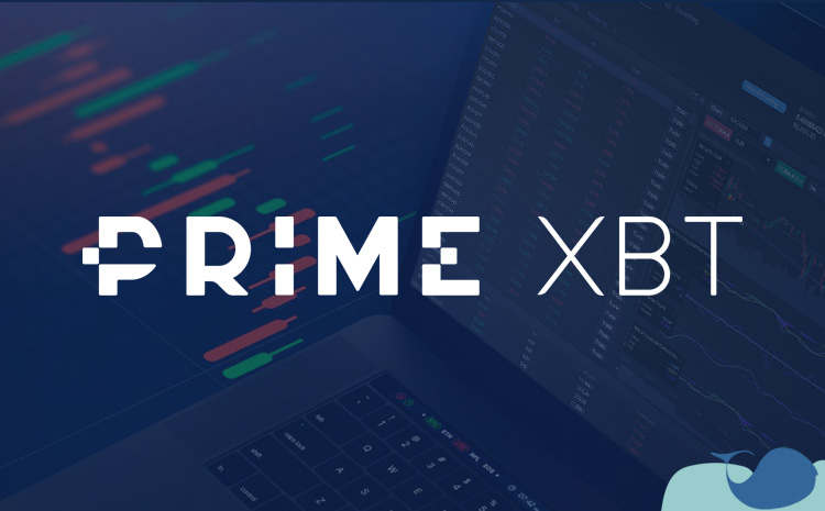 Discovering the Future of Trading A Comprehensive Guide to PrimeXBT Exchange Discovering the Future of Trading A Comprehensive Guide to PrimeXBT Exchange